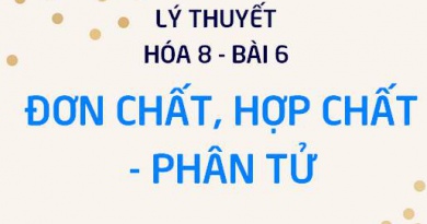 Phân tử là gì? Phân tử khối là gì? Đặc điểm cấu tạo của Đơn chất, Hợp chất - Lý thuyết Hóa 8 bài 6